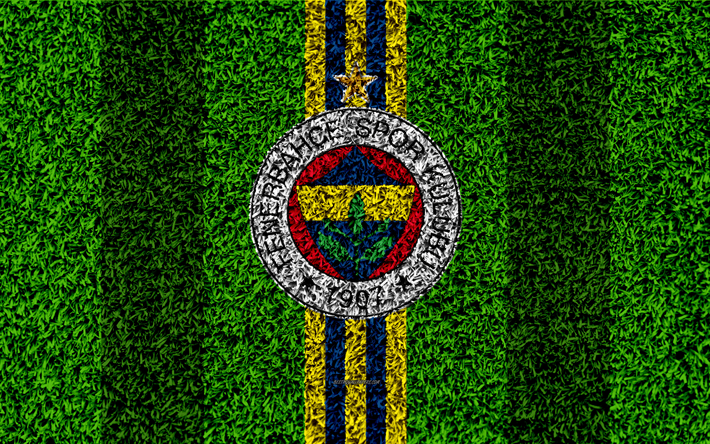 Fenerbahce SK, 4k, football lawn, logo, grass texture, emblem, blue yellow lines, Turkish football club, Super Lig, Istanbul, Turkey, football, Turkish football superleague, Fenerbahce FC