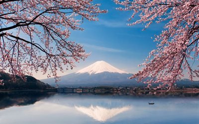 Fujiyama, stratovolcan, printemps, sakura, le lac, le Japon, le Mont Fuji, des cerisiers en fleur, paysage