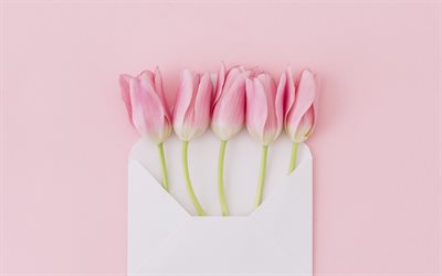 tulipas cor-de-rosa, flores da primavera, tulipas em um fundo rosa, tulipas em um envelope, floral de fundo, tulipas