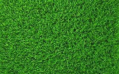 green grass texture, 4k, summer, macro, green background, grass textures, green grass, close-up, grass from top, grass background