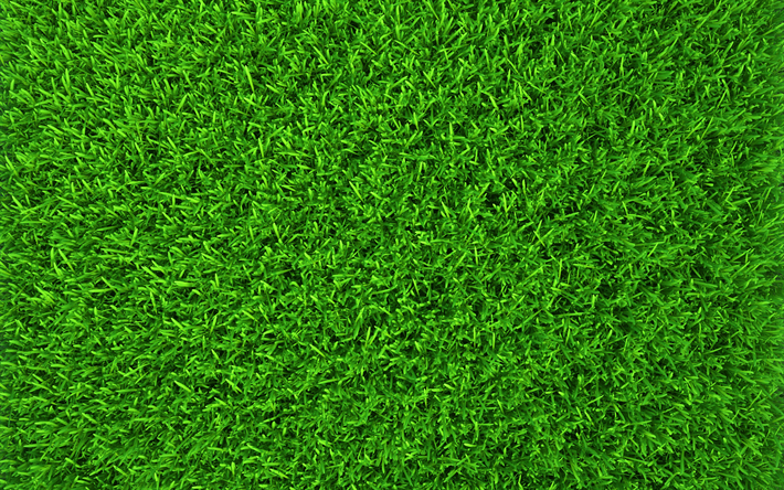 la hierba verde textura, 4k, verano, macro, fondo verde, hierba texturas, la hierba verde, close-up, el c&#233;sped de la parte superior, la hierba de fondo