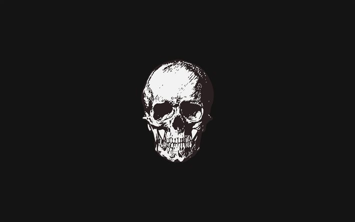 白スカル, 4k, 最小限の, 創造, 作品, 怖の頭蓋骨, 背景とスカル, 黒い背景, スカル