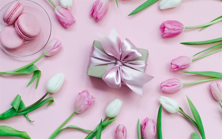 caixa de presente, cor-de-rosa de seda arco, tulipas cor-de-rosa, fundo rosa, primavera, cor-de-rosa macarons, tulipas