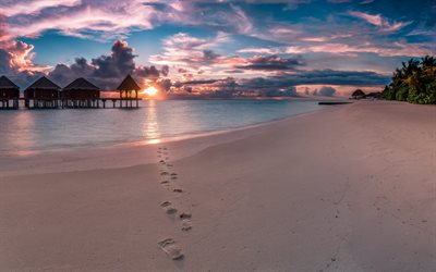 tropical islands, Maldives, ocean, palm trees, evening, sunset, summer vacation, beach, over water bungalow