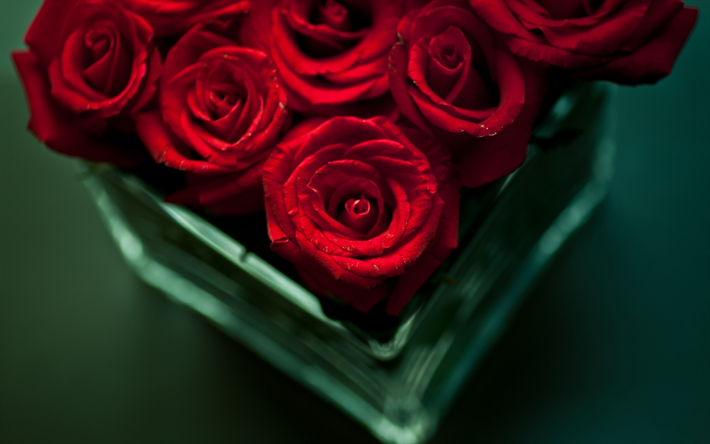 rosas vermelhas, buqu&#234;, macro, rosas, belas flores vermelhas, desfoque
