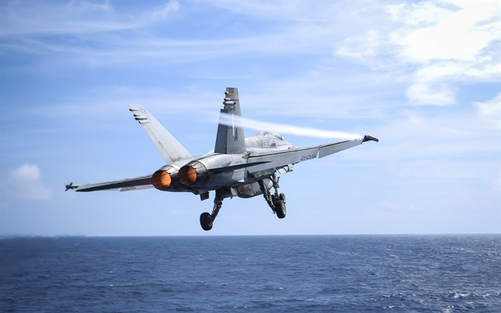 ボーイングFA-18スーパーホーネット, デッキ戦闘機, take offから航空母艦, タービン, 海景, 米海軍, 米国, FA-18F, スーパーホーネット
