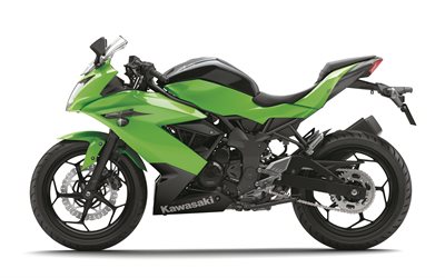 Kawasaki Ninja 250SL, 2018, sports bike, side view, new green Ninja, Japanese motorcycles, Kawasaki