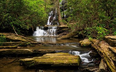 waterfall, forest, stream, trees, branches, stones, forest landscape