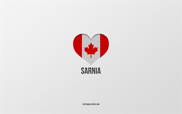 Amo Sarnia, ciudades canadienses, fondo gris, Sarnia, Canad&#225;, coraz&#243;n de la bandera canadiense, ciudades favoritas, Love Sarnia