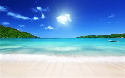 Beach, sea, tropical island, palm trees, summer, summer vacation