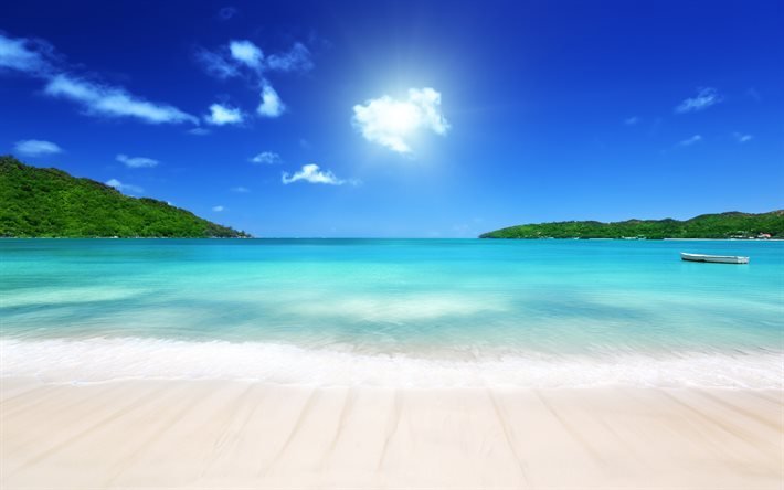 Plaj, deniz, tropik ada, palmiye ağa&#231;ları, yaz, yaz tatili