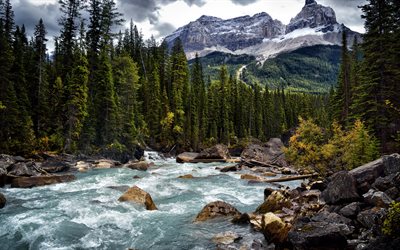 mountain river, beautiful mountain landscape, forest, stones, Canada