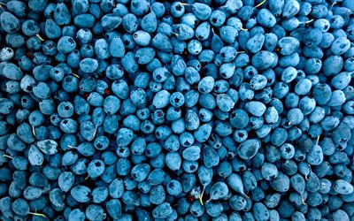 blueberry, 4k, macro, fresh fruits, berries, blueberries, fruits