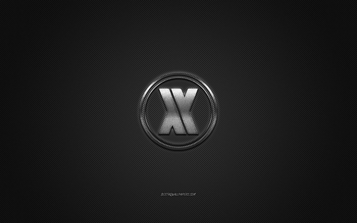 Blasterjaxx logo, silver shiny logo, Blasterjaxx metal emblem, Dutch DJ, Thom Jongkind, Idir Makhlaf, gray carbon fiber texture, Blasterjaxx, brands, creative art
