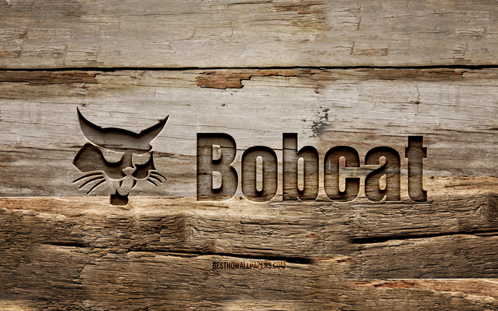 Bobcat wooden logo, 4K, wooden backgrounds, brands, Bobcat logo, creative, wood carving, Bobcat