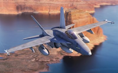 McDonnell Douglas FA-18 Hornet, American Fighter Bomber, FA-18, US Air Force, military aircraft, combat aircraft, USA