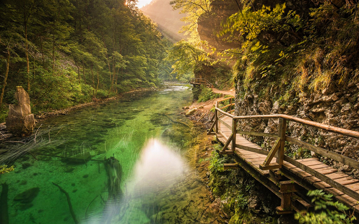 حديقة تريجلاف الوطنية, نهر جبلي, غابة, المعالم السلوفينية, طبيعة جميلة, الصيف, الجبال, سلوفينيا, أوروبا