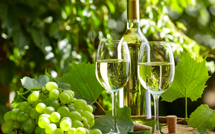 White wine, grapes, glasses of wine, summer, village wine barrel, wine