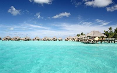 Bora-Bora, Oceano, resort, bungalow, casas sobre a &#225;gua, palmeiras, ver&#227;o, praia