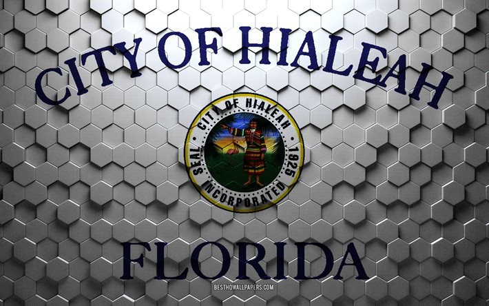 Bandiera di Hialeah, Florida, arte a nido d&#39;ape, bandiera di esagoni Hialeah, Hialeah, arte di esagoni 3d, bandiera di Hialeah