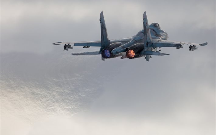 sukhoi, su-27, turbina, combate, fuerza a&#233;rea de rusia
