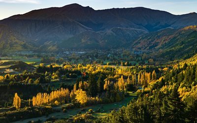 plants, water, nature, mountains, landscape, sunlight, chicago, trees, new zealand, afternoon