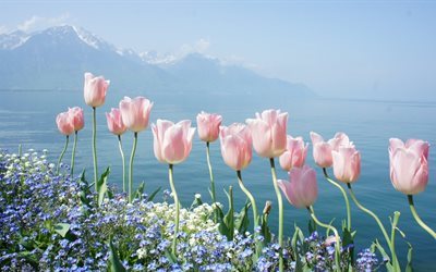 la natura, acqua, fiori, montagne, primavera