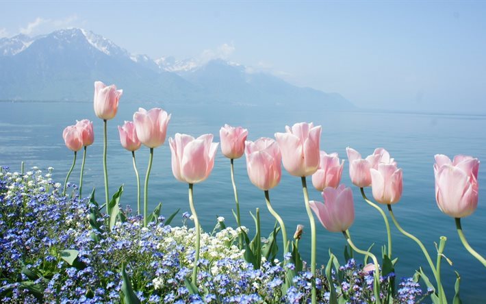 nature, water, flowers, mountains, spring