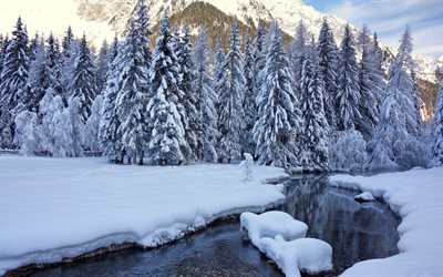 snow, trees, winter, river, nature