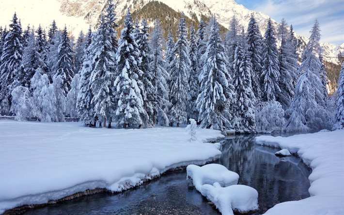neve, alberi, inverno, fiume, la natura