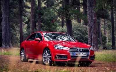 forest, sedan, red, audi, 2016, new items