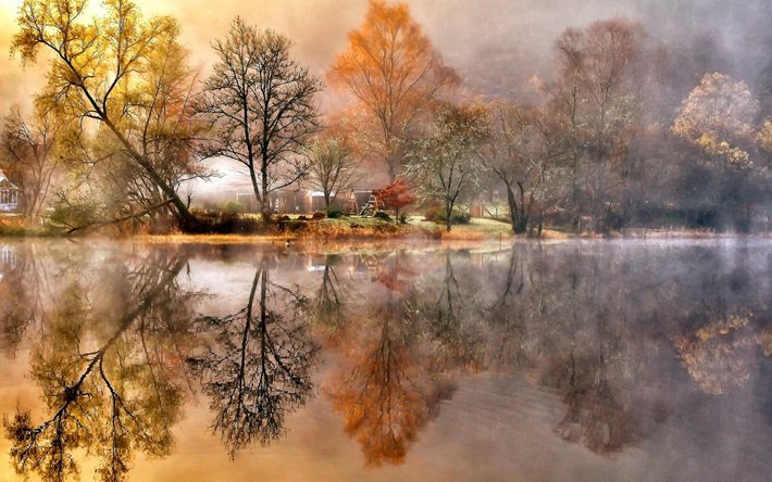 les arbres, la r&#233;flexion, l&#39;eau, la nature, paysage