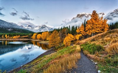 la natura, montagne, acqua, paesaggio, autunno, giallo