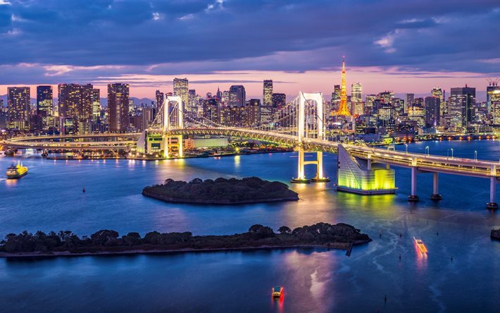 skyline, capital, la nuit, ville, lumi&#232;res, tokyo, japon