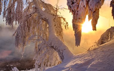 arbre, l&#39;hiver, la neige, paysage, soleil, la nature