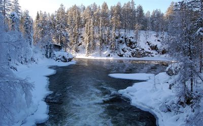 sn&#246;, is, river, finland, skogen, tr&#228;d
