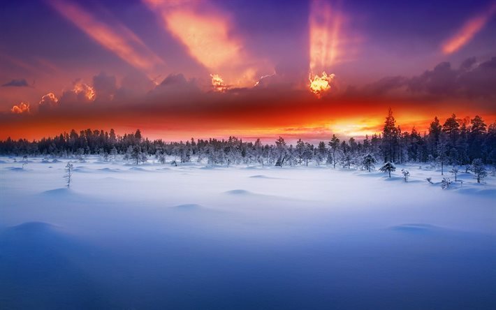 sky, winter, glow, nature, horizon, forest