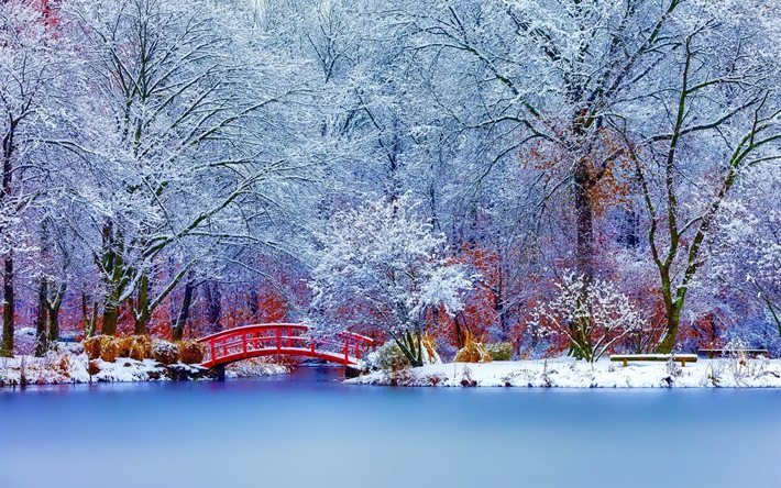snow, winter, nature, road, bridge, trees