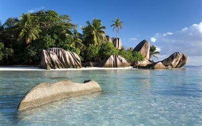 palmuja, seychellit, oja, saari