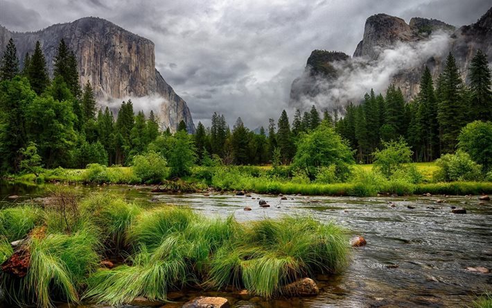 water, grass, forest, nature, mountain, trees, pine, mountains, landscape, clouds, hdr, overcast, cliff, river
