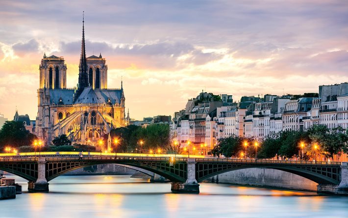 katedraali, temppeli, ranska, pariisi, hein&#228;&#228;, river, center, goottilainen arkkitehtuuri
