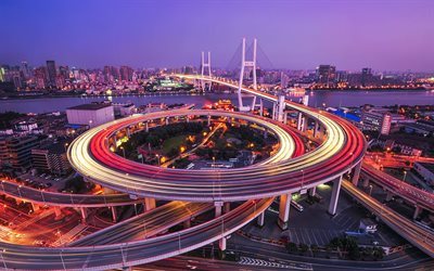 nanpu bridge, shanghai, cable-stayed bridge, huangpu river, china