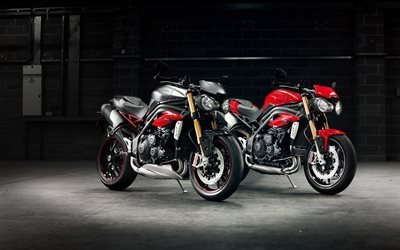 triple r, 2016, moto, speed, triumph, pair