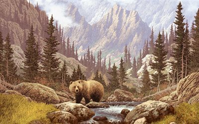 bear, picture, nature, mountains
