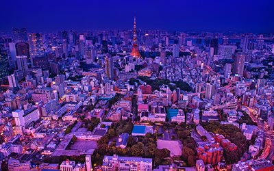Tokyo, panorama, Torre di Tokyo, citt&#224;, torre della televisione, paesaggi notturni, Nippon Television City, Minato, Giappone, Asia