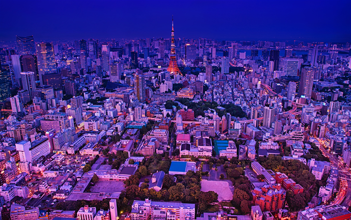 طوكيو, بانوراما, برج طوكيو, مناظر المدينة, برج التلفزيون, nightscapes, نيبون تلفزيون المدينة, ميناتو, اليابان, آسيا
