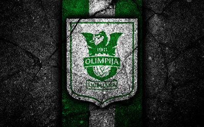 Olimpija Ljubljana FC, 4k, logo, PrvaLiga, football, soccer, black stone, Slovenia, NK Olimpija Ljubljana, asphalt texture, Slovenian football club, FC Olimpija Ljubljana