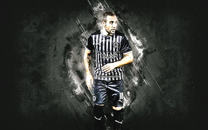 Santi Cazorla, Al Sadd SC, Spanish footballer, midfielder, Qatar, soccer, gray stone background