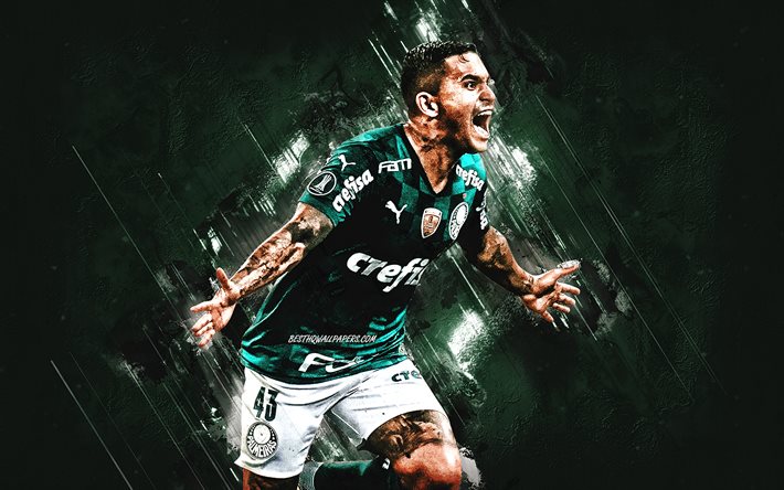 Dudu, Palmeiras, Brasiliansk fotbollsspelare, Mittf&#228;ltare, Green Stone Background, Serie A, Fotboll