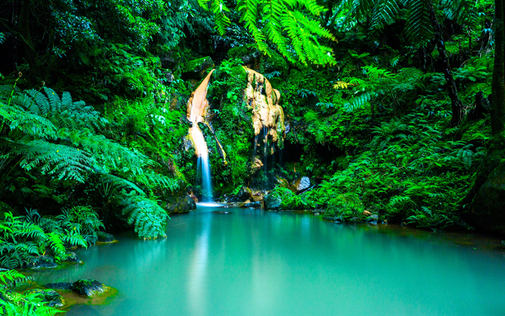 ダウンロード画像 アゾレス 4k ジャングル 滝 オアシス 夏 ポルトガル フリー のピクチャを無料デスクトップの壁紙